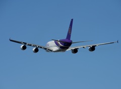 THAI A380-841 飛び立ち