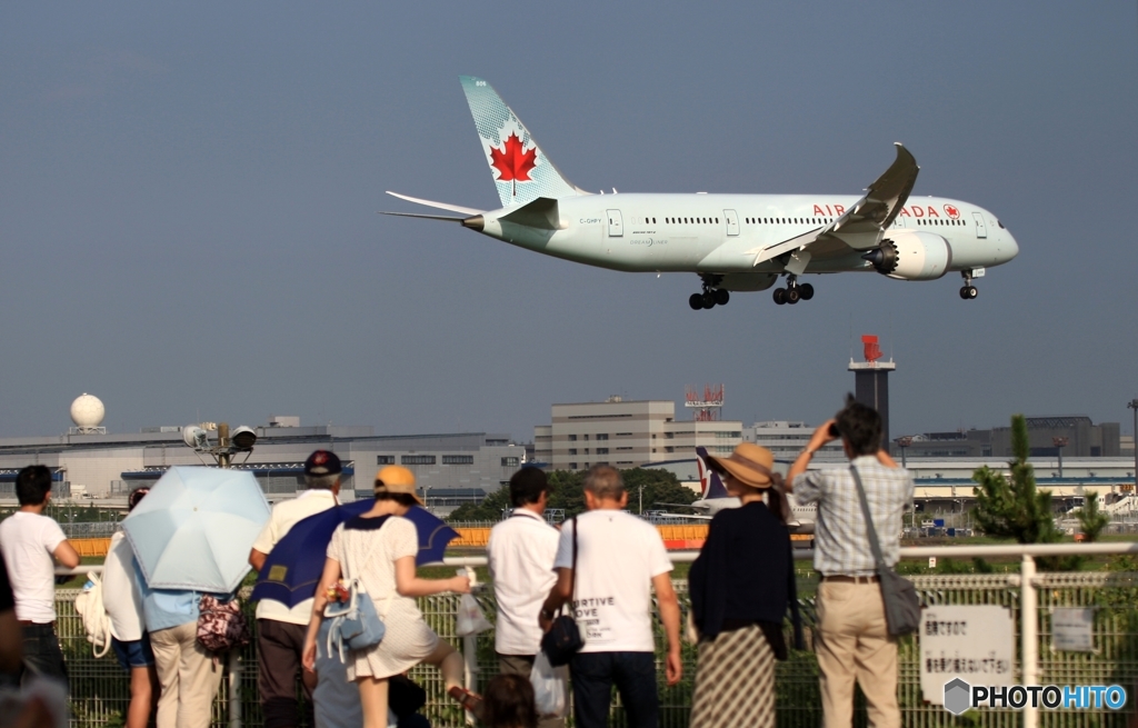 ✈Air Canada 787-8 Oh!