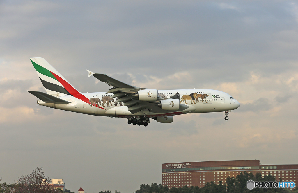 ✈エミレーツ特別塗装/動物愛護A380-861 A6-EEQ☮
