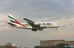 ✈エミレーツ特別塗装/動物愛護A380-861 A6-EEQ☮