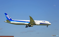 「ぶるー」 ANA 787-9 JA876A 着陸です