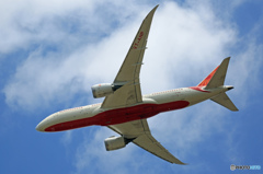 Air India 787-8 VT-ANP飛び立ち　 