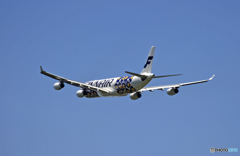 FINNAIR A340-313「マリメッコ ウニッコ」OH-LQD