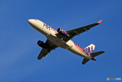 「スカイ」 Hkpress A320-232 B-LCC