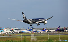 Air New Zealand「All Blacks」B787-9 ZK-NZE
