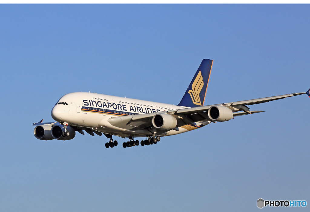 新しく出来る撮影場所の近くより、A380