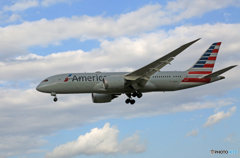 「晴れ」 American 787-8 N809AA 到着 「晴れ」 American 787-8 N809AA 到着