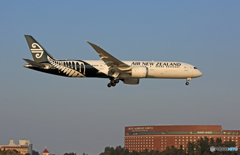 「空色」 Air NZ' 787-9 ZK-NZC 到着 「空色」 Air NZ' 787-9 ZK-NZC 到着