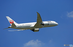 JAL 787-8 JA838J離陸 