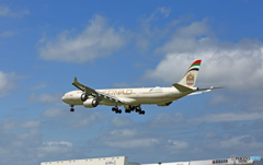 [青い空] Etihad A340-642 A6-EHF