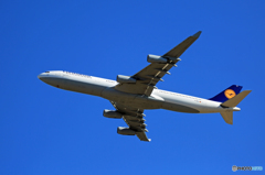 「青い空」が一番 Lufthansa A340-313 D-AIGZ