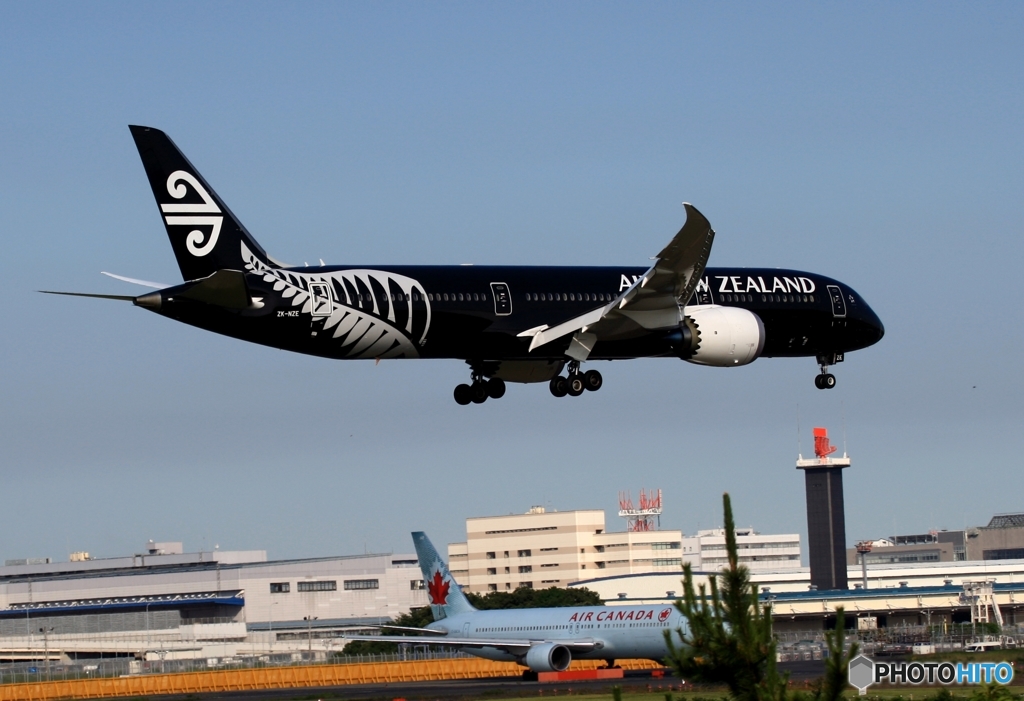 Air New Zealand 「All Blacks」787-9 ZK-NZE