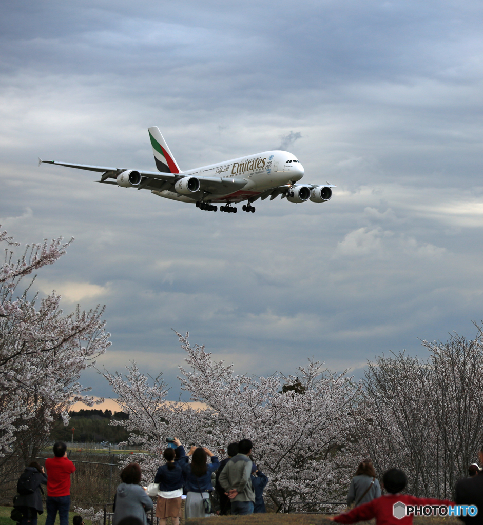 ✈わあぁ 来た～　✈エミレーツ航空A380