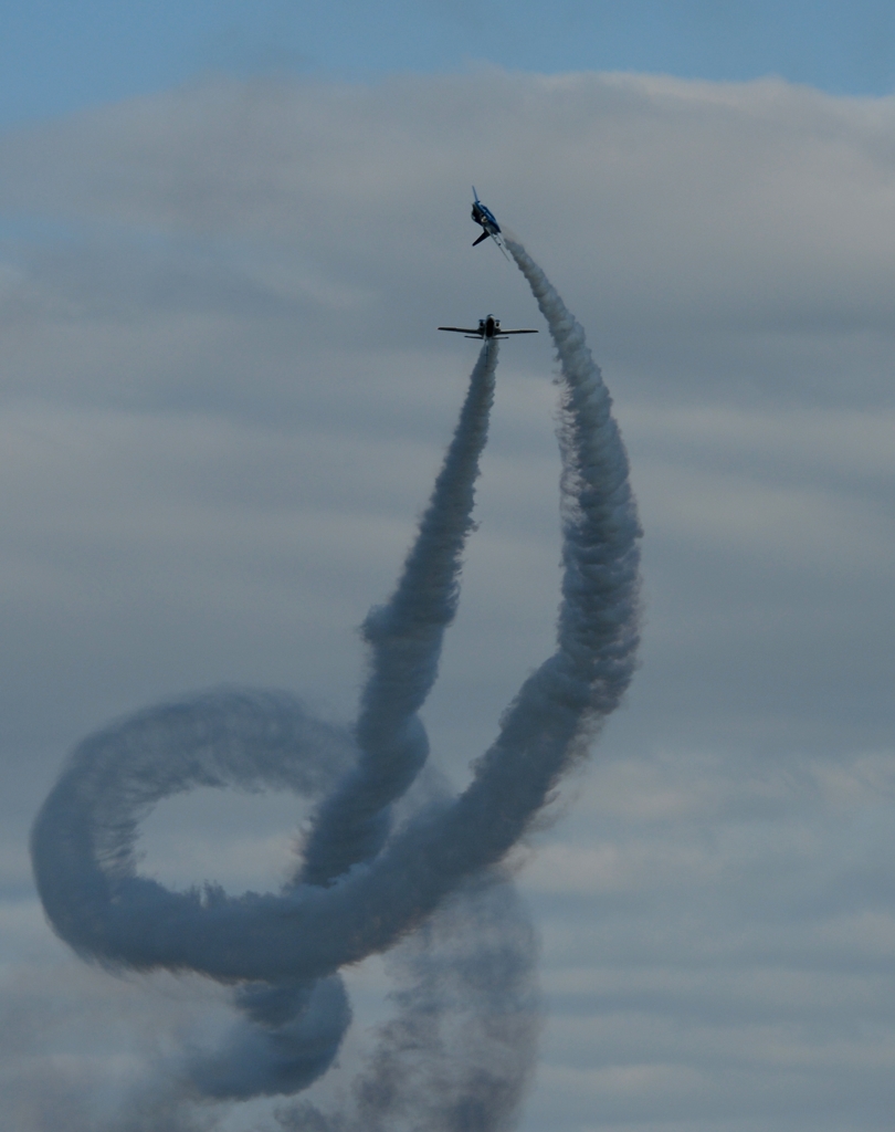 入間航空祭 (68) T-4