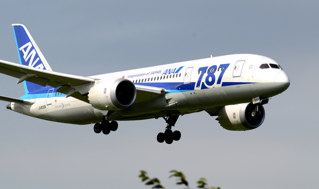 着陸（111）ANA 787-8