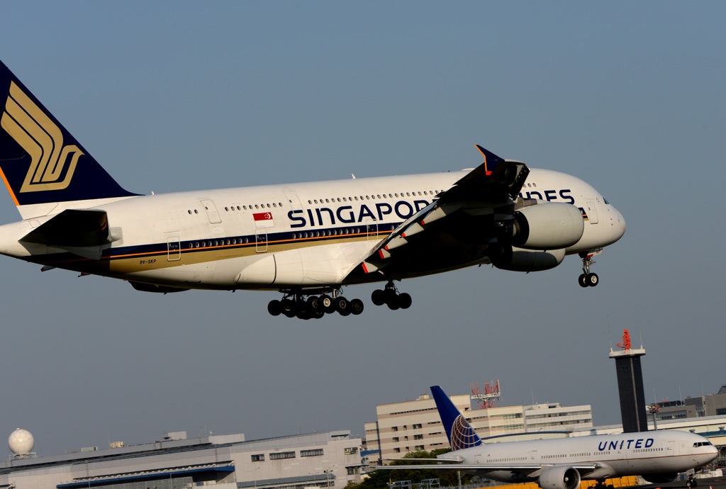 到着　SINGAPORE A380-841