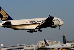 到着　SINGAPORE A380-841