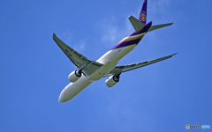 Thai 777-3AL HS-TKN 離陸 