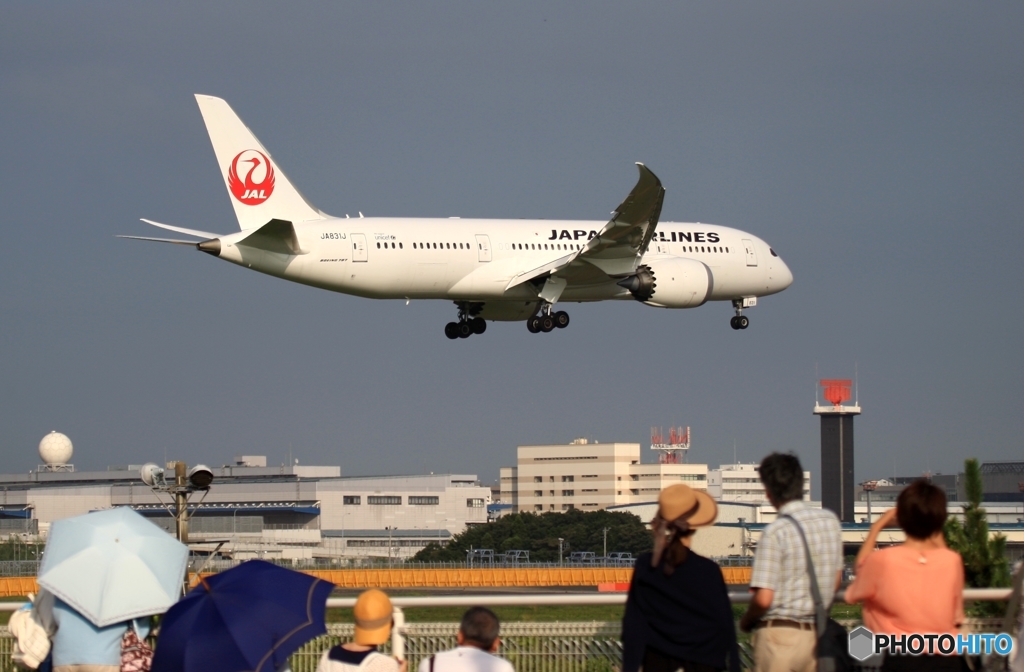 Oh !  JAL 787-8