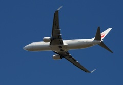 JAL 737-800  JAL 737-800