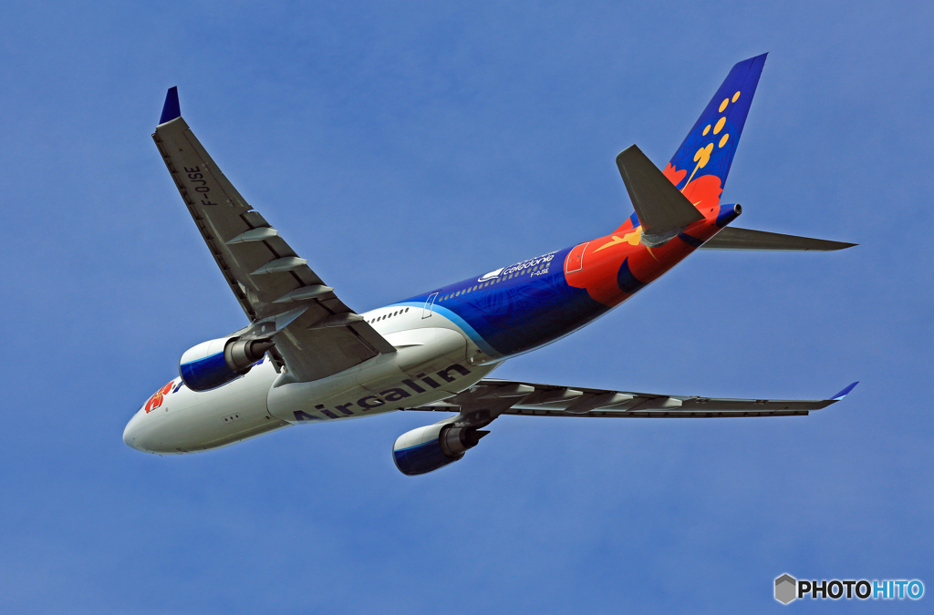 ✈明けましておめでとうございます