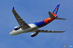 ✈明けましておめでとうございます