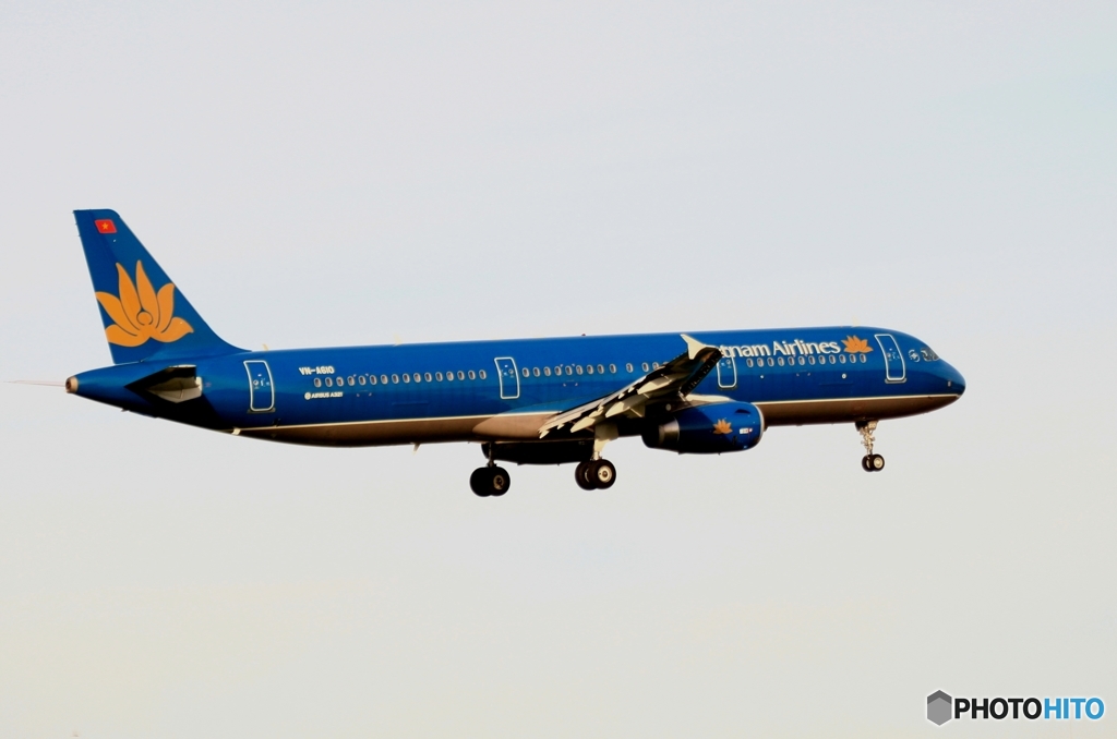 Vietnam A321-231 到着　