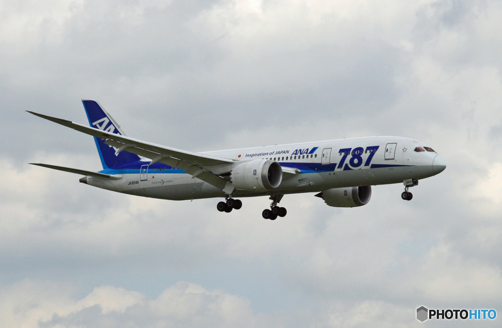 ANA 787-8 JA804A 到着　