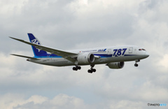 ANA 787-8 JA804A 到着　