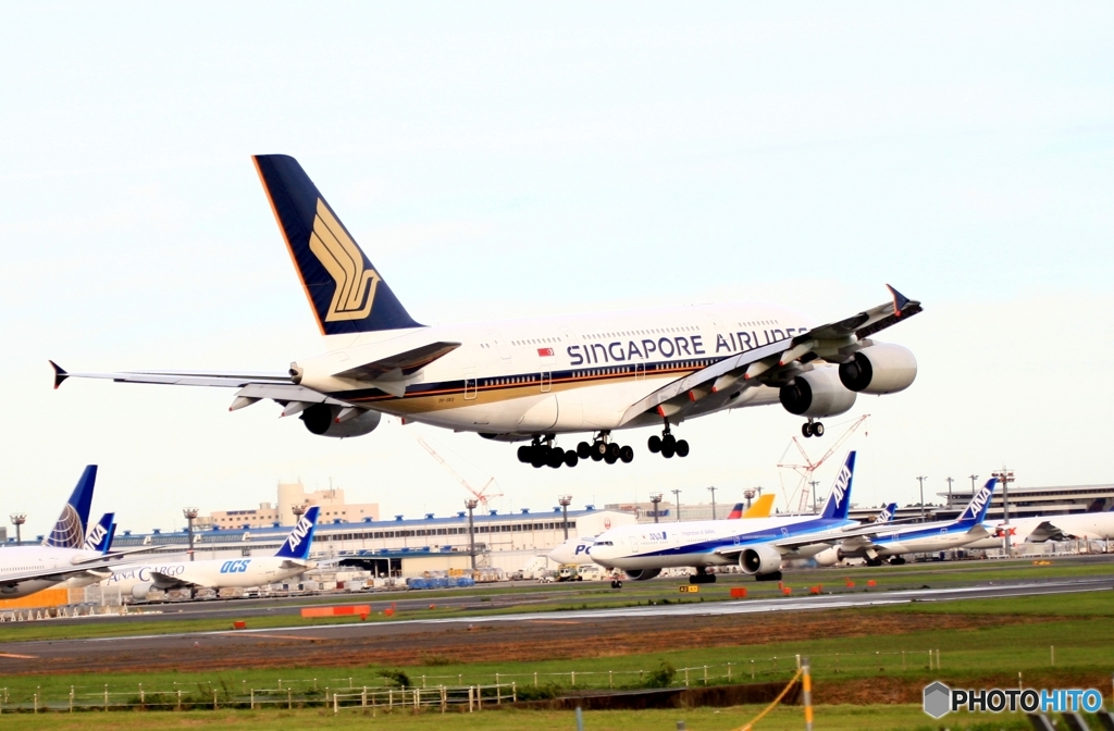 Singapore A380-841 着陸