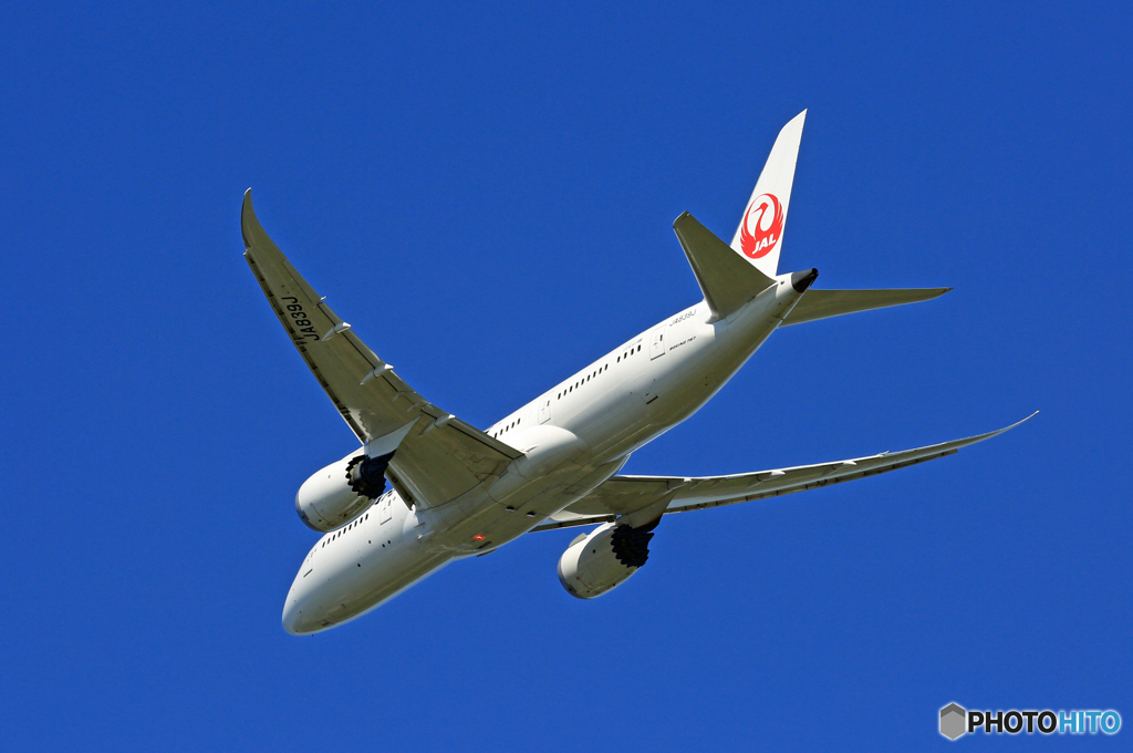 「青空」 JAL 787-8 JA839J飛び立ち