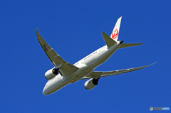 「青空」 JAL 787-8 JA839J飛び立ち