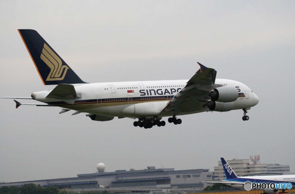 着陸　Singapore A380-841 