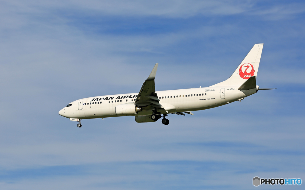 到着 JAL 737-800 JA321J