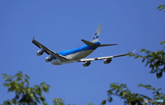 出発KLM 747-400 PH-BFS /ジャンボ保存委員会