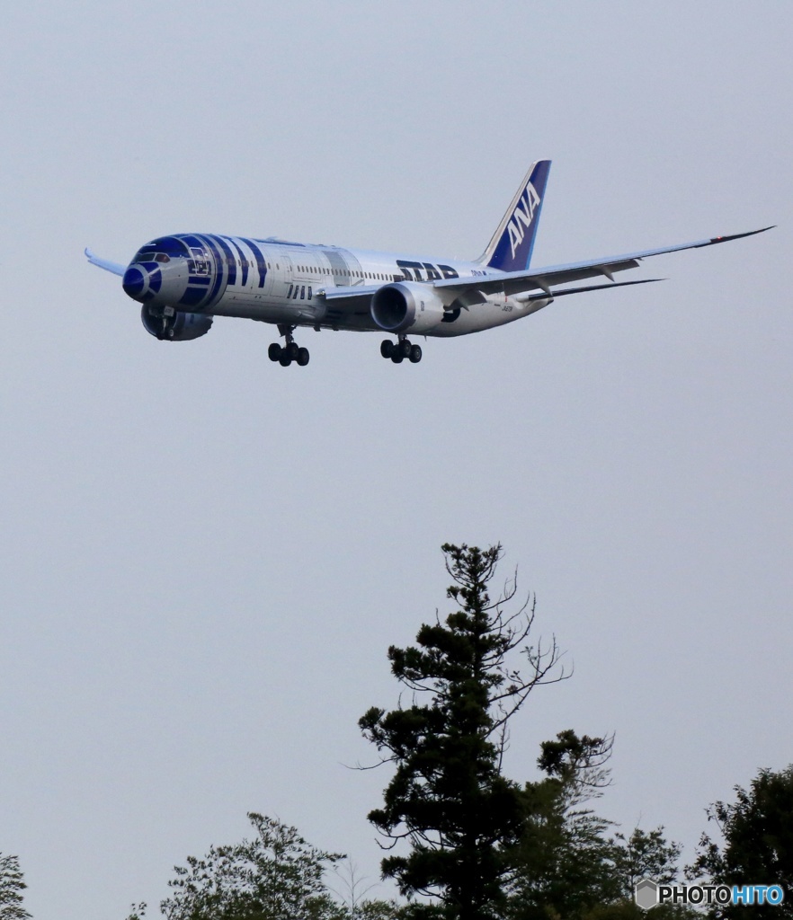 ✈ANA [R2-D2 Jet] STAR WARS B787-9 JA873A
