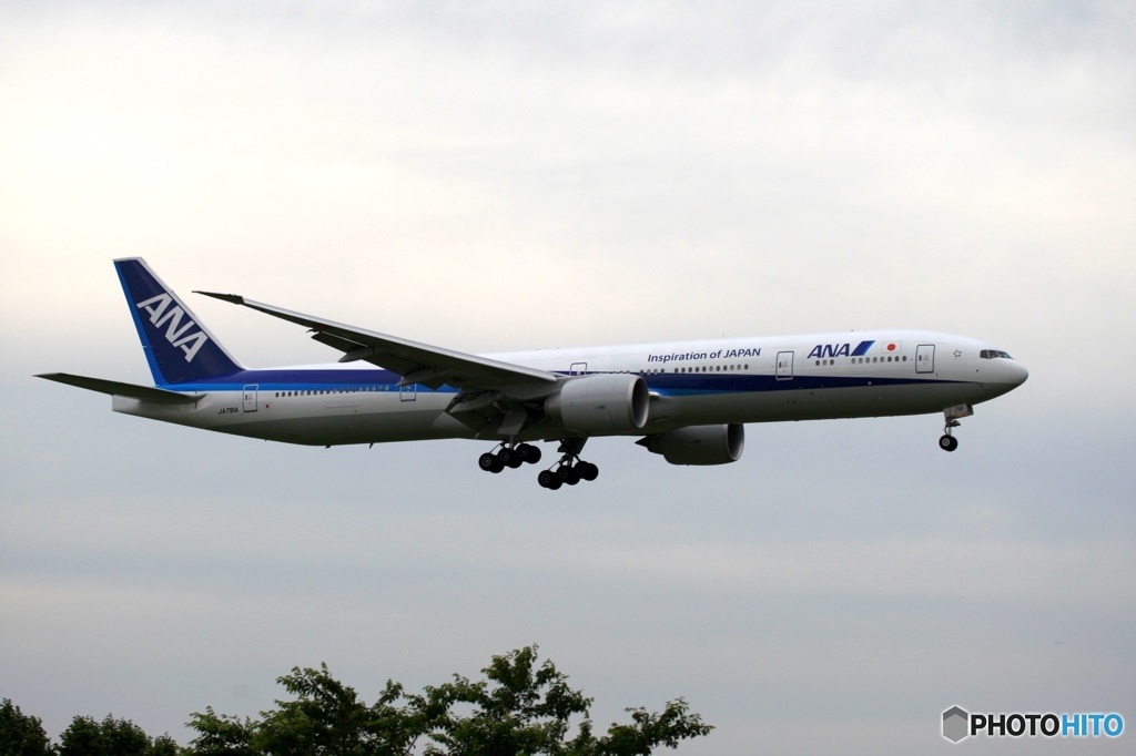 到着　ANA 777-300 