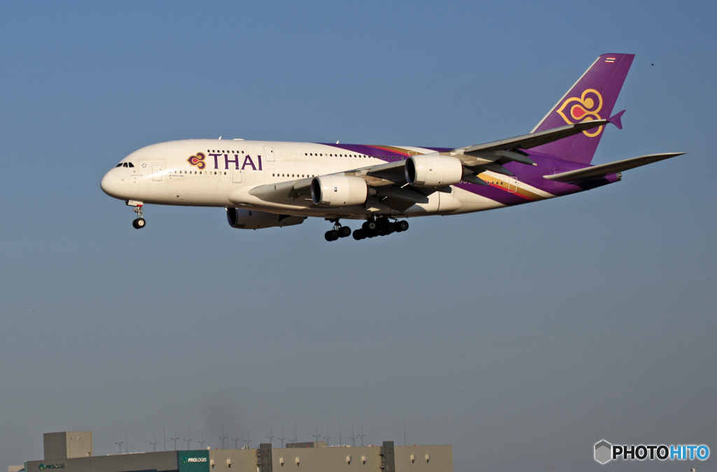 到着 THAI A380-841 HS-TUB