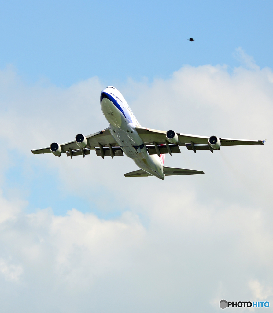 鳥と離陸CHINA 747-400 B-18205ジャンボ保存委員会