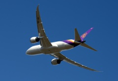 離陸（332）Thai 787-8