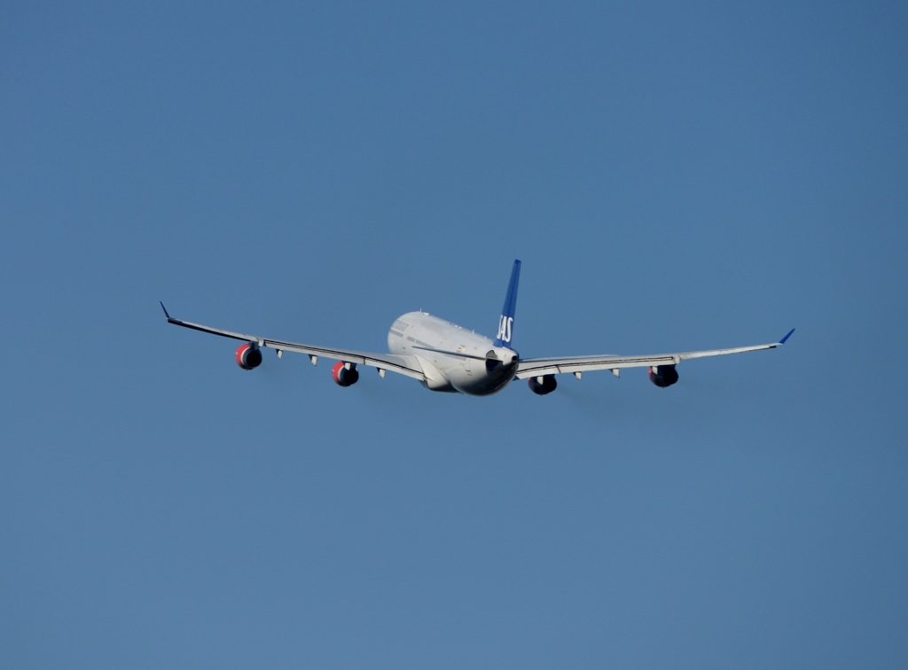 SAS A330-313