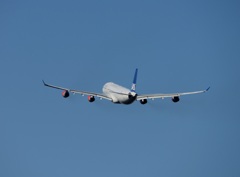 SAS A330-313