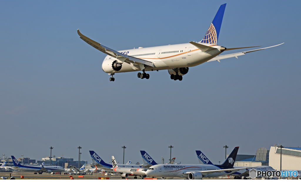 UNITED 787-9 N13954 着陸   