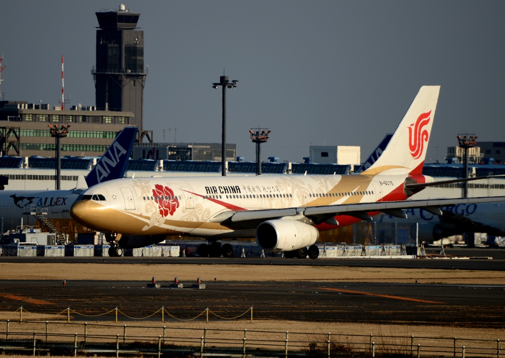Air China A330紫金号