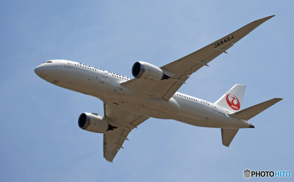 JAL 787-8 JA842J 飛び立ち　