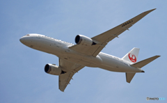 JAL 787-8 JA842J 飛び立ち　