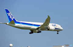 到着 ANA 787-8 JA840A
