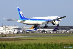 ANA 777-381 着陸　