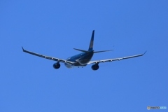 vietnam A330-200 VN-A376 飛び立ち　