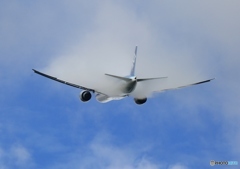 ANA 777-300 JA788A  離陸　